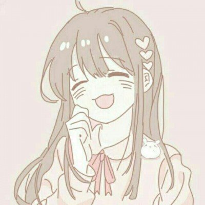 新总统劳拉正式上任